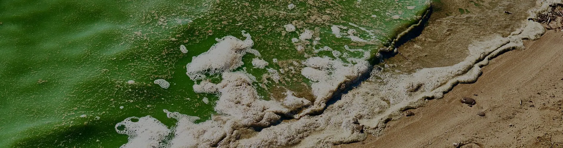 Phosphorus Reduction